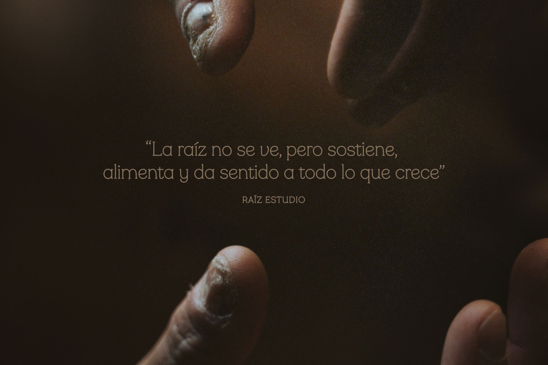 01_frase_foto_raizestudio2x “La raíz no se ve, pero sostiene,<br />
alimenta y da sentido a todo lo que crece”