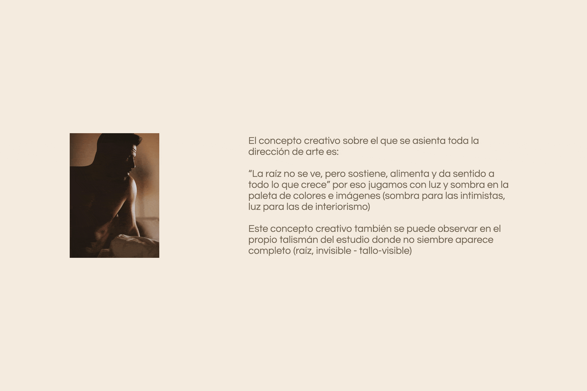 El concepto creativo sobre el que se asienta toda la dirección de arte es: “La raíz no se ve, pero sostiene, alimenta y da sentido a todo lo que crece” por eso jugamos con luz y sombra en la paleta de colores e imágenes (sombra para las intimistas, luz para las de interiorismo) Este concepto creativo también se puede observar en el propio talismán del estudio donde no siembre aparece completo (raíz, invisible - tallo-visible) El concepto creativo sobre el que se asienta toda la dirección de arte es: “La raíz no se ve, pero sostiene, alimenta y da sentido a todo lo que crece” por eso jugamos con luz y sombra en la paleta de colores e imágenes (sombra para las intimistas, luz para las de interiorismo) Este concepto creativo también se puede observar en el propio talismán del estudio donde no siembre aparece completo (raíz, invisible - tallo-visible)