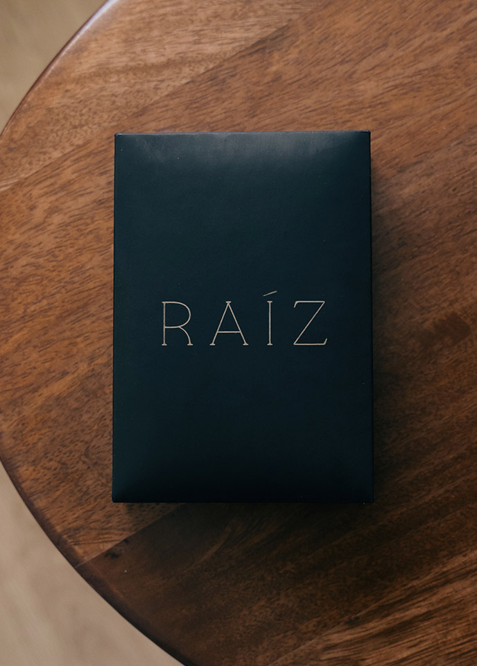 caja_raiz_vertical diseño holístico Proyecto entre logo corazón