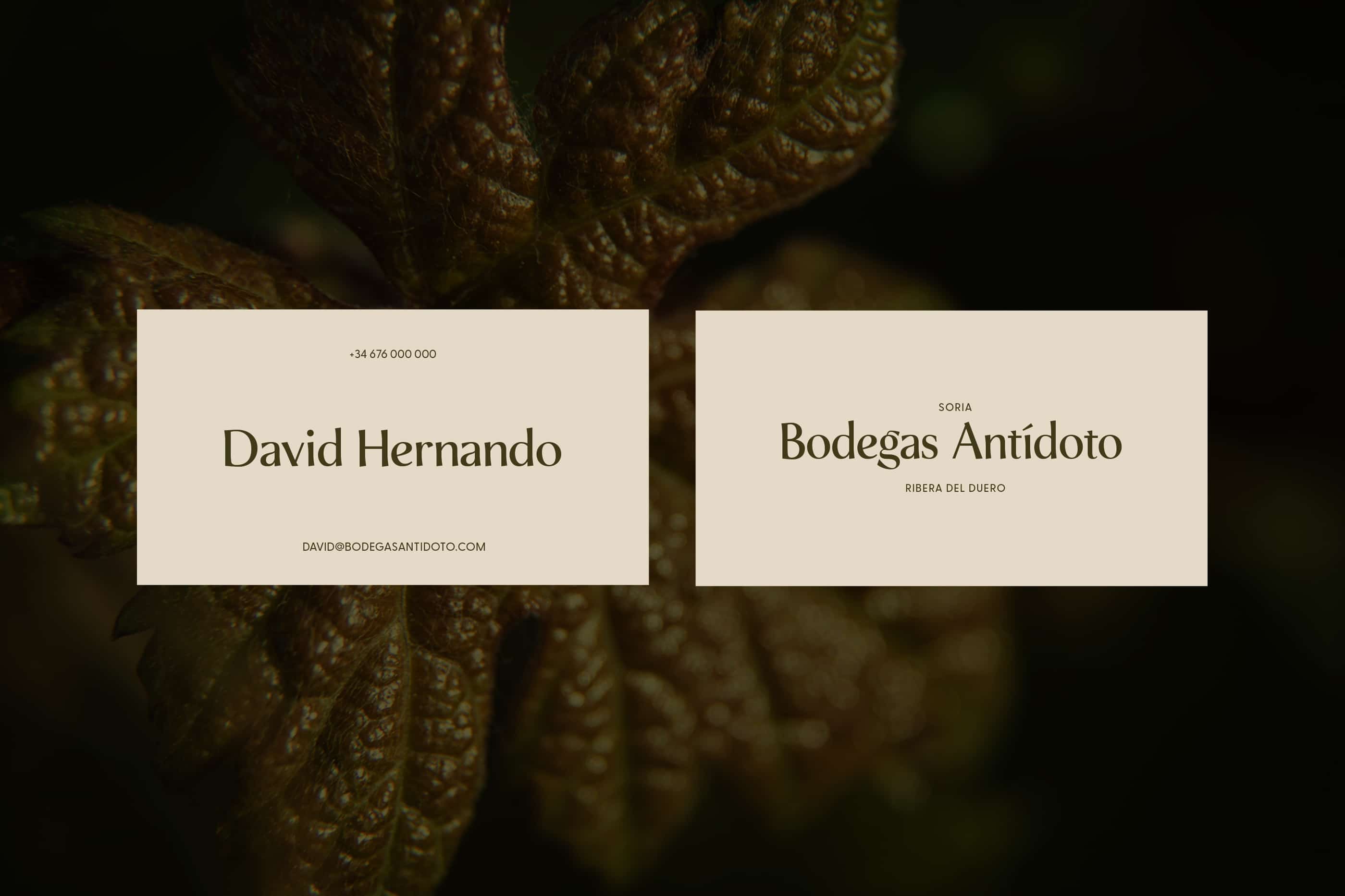 Diseño de tarjetas de visita e identidad visual vitivinícola